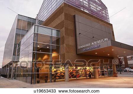 Stock Image -  Chattanooga, TN, Tennessee, Tennessee Aquarium, Ocean Journey. Fotosearch