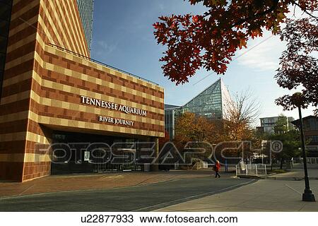 Chattanooga, TN, Tennessee, Tennessee Aquarium, River Journey View Large Photo Image Stock Image - Chattanooga, TN, Tennessee, Tennessee Aquarium, River Journey. Fotosearch