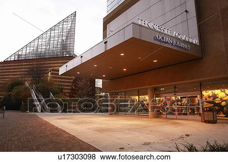 Chattanooga, TN, Tennessee, Tennessee Aquarium, Ocean Journey View Large Photo Image Stock Photo - Chattanooga, TN, Tennessee, Tennessee Aquarium, Ocean Journey. Fotosearch