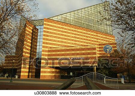 Stock Photo -  Chattanooga, TN, Tennessee, Tennessee Aquarium, River Journey. Fotosearch