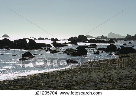 Picture -  Crescent City, CA, California, Pacific Ocean. Fotosearch