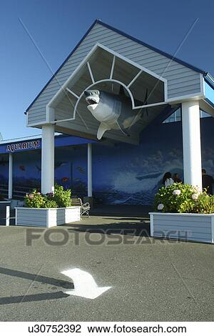 Crescent City, CA, California, Pacific Ocean, Ocean World View Large Photo Image Stock Image - Crescent City, CA, California, Pacific Ocean, Ocean World. Fotosearch