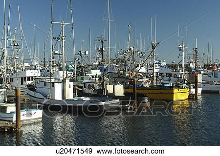 Crescent City, CA, California, Pacific Ocean, Crescent City Harbor, fishing boats View Large Photo Image Stock Photo - Crescent City, CA, California, Pacific Ocean, Crescent City Harbor, fishing boats. Fotosearch