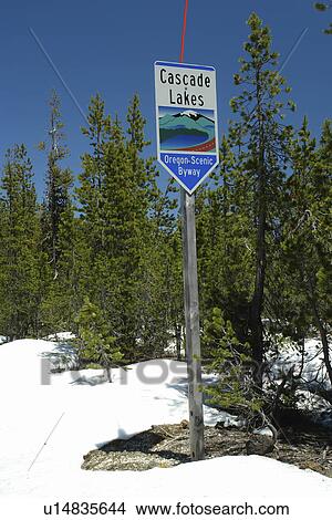 Deschutes National Forest, OR, Oregon, Cascade Lakes National Scenic Byway, road sign View Large Photo Image Picture - Deschutes National Forest, OR, Oregon, Cascade Lakes National Scenic Byway, road sign. Fotosearch
