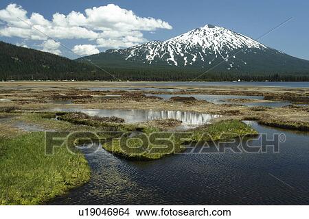 Picture -  Deschutes National Forest, OR, Oregon, Mount Bachelor, Cascade Lakes National Scenic Byway, Cascade Range, Soda Creek. Fotosearch