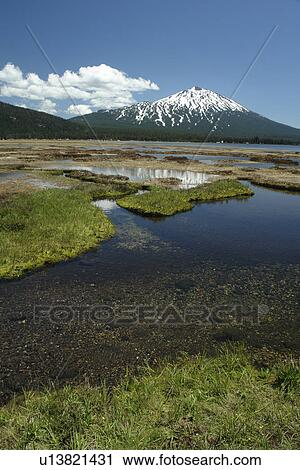 Stock Image -  Deschutes National Forest, OR, Oregon, Mount Bachelor, Cascade Lakes National Scenic Byway, Cascade Range, Soda Creek. Fotosearch