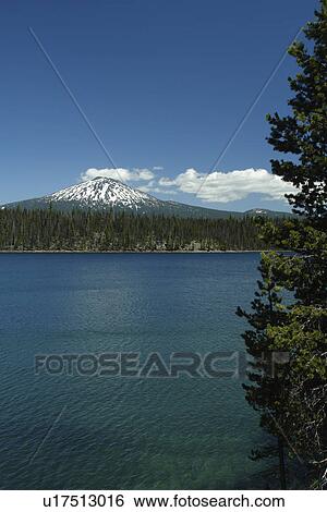 Deschutes National Forest, OR, Oregon, Mount Bachelor, Cascade Lakes National Scenic Byway, Cascade Range, Lava Lakes View Large Photo Image Stock Photograph - Deschutes National Forest, OR, Oregon, Mount Bachelor, Cascade Lakes National Scenic Byway, Cascade Range, Lava Lakes. Fotosearch