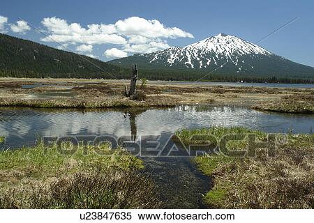 Deschutes National Forest, OR, Oregon, Mount Bachelor, Cascade Lakes National Scenic Byway, Cascade Range, Soda Creek View Large Photo Image Stock Photography - Deschutes National Forest, OR, Oregon, Mount Bachelor, Cascade Lakes National Scenic Byway, Cascade Range, Soda Creek. Fotosearch
