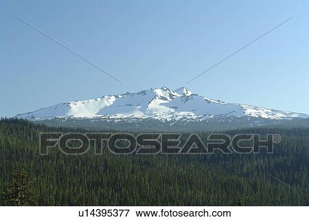 Diamond Peak, OR, Oregon, Willamette National Forest, North Cascades, Cascade Range View Large Photo Image Stock Photo - Diamond Peak, OR, Oregon, Willamette National Forest, North Cascades, Cascade Range. Fotosearch
