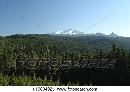 Diamond Peak, OR, Oregon, Willamette National Forest, North Cascades, Cascade Range View Large Photo Image Stock Photography - Diamond Peak, OR, Oregon, Willamette National Forest, North Cascades, Cascade Range. Fotosearch