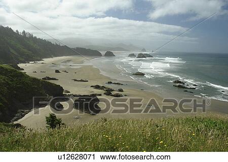Ecola State Park, OR, Oregon, Pacific Ocean, Pacific Coast Scenic Byway, Rt Route, Highway 101, Cannon Beach, Ecola Point, overlook View Large Photo Image Stock Image - Ecola State Park, OR, Oregon, Pacific Ocean, Pacific Coast Scenic Byway, Rt Route, Highway 101, Cannon Beach, Ecola Point, overlook. Fotosearch