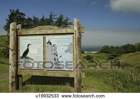 Ecola State Park, OR, Oregon, Pacific Ocean, Pacific Coast Scenic Byway, Rt Route, Highway 101, Cannon Beach, Ecola Point, overlook View Large Photo Image Stock Image - Ecola State Park, OR, Oregon, Pacific Ocean, Pacific Coast Scenic Byway, Rt Route, Highway 101, Cannon Beach, Ecola Point, overlook. Fotosearch
