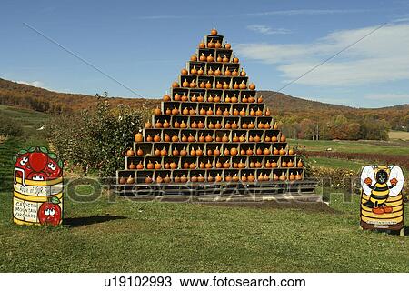 Emmitsburg, MD, Maryland, Catoctin Mountain Orchard, Apple Orchard, Roadside Market, pyramid of pumpkins View Large Photo Image Stock Image - Emmitsburg, MD, Maryland, Catoctin Mountain Orchard, Apple Orchard, Roadside Market, pyramid of pumpkins. Fotosearch