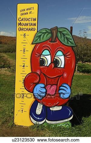 Emmitsburg, MD, Maryland, Catoctin Mountain Orchard, Apple Orchard, Roadside Market View Large Photo Image Stock Image - Emmitsburg, MD, Maryland, Catoctin Mountain Orchard, Apple Orchard, Roadside Market. Fotosearch