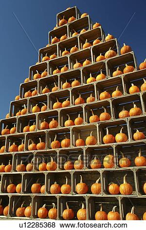 Emmitsburg, MD, Maryland, Catoctin Mountain Orchard, Apple Orchard, Roadside Market, pyramid of pumpkins View Large Photo Image Stock Photo - Emmitsburg, MD, Maryland, Catoctin Mountain Orchard, Apple Orchard, Roadside Market, pyramid of pumpkins. Fotosearch