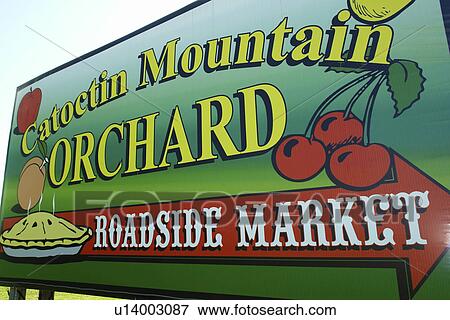 Emmitsburg, MD, Maryland, Catoctin Mountain Orchard, Apple Orchard, Roadside Market, billboard View Large Photo Image Stock Photo - Emmitsburg, MD, Maryland, Catoctin Mountain Orchard, Apple Orchard, Roadside Market, billboard. Fotosearch