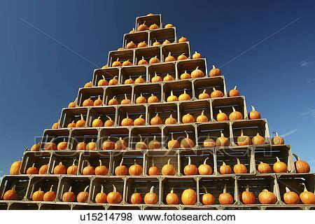 Emmitsburg, MD, Maryland, Catoctin Mountain Orchard, Apple Orchard, Roadside Market, pyramid of pumpkins View Large Photo Image Stock Photo - Emmitsburg, MD, Maryland, Catoctin Mountain Orchard, Apple Orchard, Roadside Market, pyramid of pumpkins. Fotosearch
