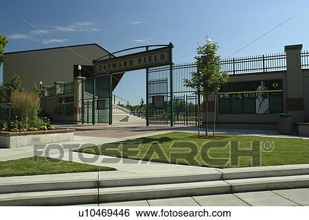 Eugene, OR, Oregon, University of Oregon, Hayward Field View Large Photo Image Stock Photograph - Eugene, OR, Oregon, University of Oregon, Hayward Field. Fotosearch