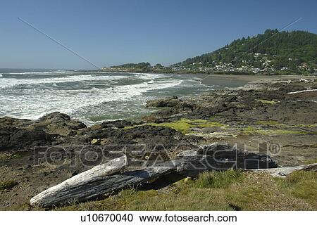 Stock Image -  Florence, OR, Oregon, Pacific Ocean, Pacific Coast Scenic Byway, Rt Route, Highway 101, Searose Beach. Fotosearch