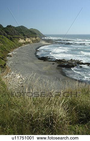 Florence, OR, Oregon, Pacific Ocean, Pacific Coast Scenic Byway, Rt Route, Highway 101, Searose Beach View Large Photo Image Stock Image - Florence, OR, Oregon, Pacific Ocean, Pacific Coast Scenic Byway, Rt Route, Highway 101, Searose Beach. Fotosearch