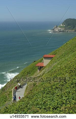 Florence, OR, Oregon, Pacific Ocean, Pacific Coast Scenic Byway, Rt Route, Highway 101, Sea Lion Point, Sea Lion Caves View Large Photo Image Stock Image - Florence, OR, Oregon, Pacific Ocean, Pacific Coast Scenic Byway, Rt Route, Highway 101, Sea Lion Point, Sea Lion Caves. Fotosearch