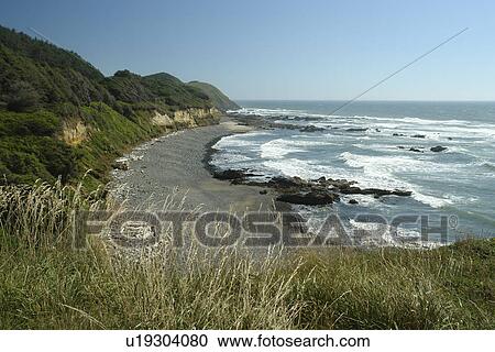 Florence, OR, Oregon, Pacific Ocean, Pacific Coast Scenic Byway, Rt Route, Highway 101, Searose Beach View Large Photo Image Stock Image - Florence, OR, Oregon, Pacific Ocean, Pacific Coast Scenic Byway, Rt Route, Highway 101, Searose Beach. Fotosearch
