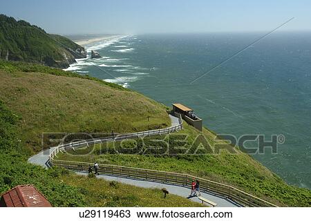 Florence, OR, Oregon, Pacific Ocean, Pacific Coast Scenic Byway, Rt Route, Highway 101, Sea Lion Point, Sea Lion Caves View Large Photo Image Stock Image - Florence, OR, Oregon, Pacific Ocean, Pacific Coast Scenic Byway, Rt Route, Highway 101, Sea Lion Point, Sea Lion Caves. Fotosearch