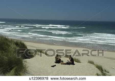 Florence, OR, Oregon, Pacific Ocean, Pacific Coast Scenic Byway, Rt Route, Highway 101, Oregon Dunes National Recreation Area, Siuslaw National Forest, Jessie M. Honeyman Memorial State Park, dunes, beach View Large Photo Image Stock Photo - Florence, OR, Oregon, Pacific Ocean, Pacific Coast Scenic Byway, Rt Route, Highway 101, Oregon Dunes National Recreation Area, Siuslaw National Forest, Jessie M. Honeyman Memorial State Park, dunes, beach. Fotosearch