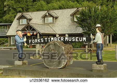 Forks, WA, Washington, Pacific Ocean, Olympic Peninsula, Forks Timber Museum, lumberjacks sawing wood statue View Large Photo Image Stock Image - Forks, WA, Washington, Pacific Ocean, Olympic Peninsula, Forks Timber Museum, lumberjacks sawing wood statue. Fotosearch