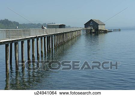 Garibaldi, OR, Oregon, Pacific Ocean, Pacific Coast Scenic Byway, Rt Route, Highway 101, Tillamook Bay View Large Photo Image Picture - Garibaldi, OR, Oregon, Pacific Ocean, Pacific Coast Scenic Byway, Rt Route, Highway 101, Tillamook Bay. Fotosearch