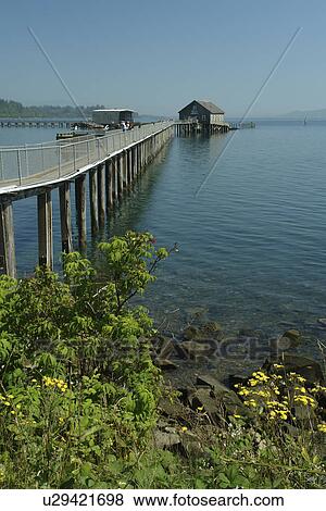Stock Photo -  Garibaldi, OR, Oregon, Pacific Ocean, Pacific Coast Scenic Byway, Rt Route, Highway 101, Tillamook Bay. Fotosearch