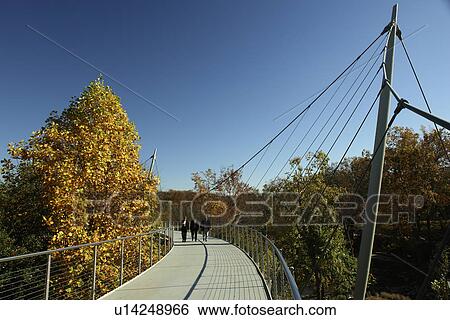 Greenville, SC, South Carolina, Reedy River Falls Historic Park, autumn, foot bridge View Large Photo Image Stock Photograph - Greenville, SC, South Carolina, Reedy River Falls Historic Park, autumn, foot bridge. Fotosearch