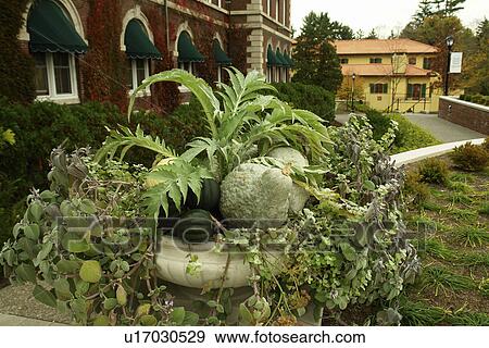 Stock Photo -  Hyde Park/Poughkeepsie, NY, New York, The Culinary Institute of America. Fotosearch