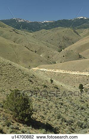ID, Idaho, near Silver City, Ghost Town, dry, barren, desert View Large Photo Image Stock Image - ID, Idaho, near Silver City, Ghost Town, dry, barren, desert. Fotosearch