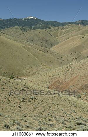 ID, Idaho, near Silver City, Ghost Town, dry, barren, desert View Large Photo Image Stock Photo -  ID, Idaho, near Silver City, Ghost Town, dry, barren, desert. Fotosearch