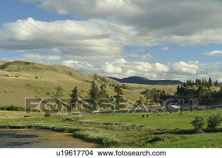 Kamloops, British Columbia, Canada, Route 5A, Nicola River Valley, prairie, grasslands View Large Photo Image Picture - Kamloops, British Columbia, Canada, Route 5A, Nicola River Valley, prairie, grasslands. Fotosearch