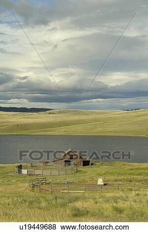 Kamloops, British Columbia, Canada, Route 5A, Nicola River Valley, prairie, grasslands View Large Photo Image Stock Photo - Kamloops, British Columbia, Canada, Route 5A, Nicola River Valley, prairie, grasslands. Fotosearch