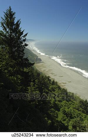 Klamath, CA, California, Pacific Ocean, Redwood National and State Parks, High Bluff Overlook View Large Photo Image Picture - Klamath, CA, California, Pacific Ocean, Redwood National and State Parks, High Bluff Overlook. Fotosearch
