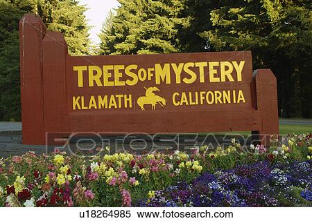 Klamath, CA, California, Pacific Ocean, Trees of Mystery, entrance sign View Large Photo Image Stock Photography - Klamath, CA, California, Pacific Ocean, Trees of Mystery, entrance sign. Fotosearch
