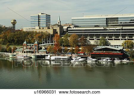 Knoxville, TN, Tennessee, Downtown Skyline, Tennessee River View Large Photo Image Stock Image - Knoxville, TN, Tennessee, Downtown Skyline, Tennessee River. Fotosearch