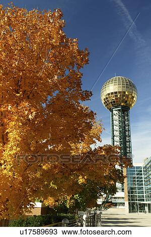 Knoxville, TN, Tennessee, Downtown, Knoxville Convention Center, 1982 World's Fair Sunsphere, autumn View Large Photo Image Stock Image - Knoxville, TN, Tennessee, Downtown, Knoxville Convention Center, 1982 World's Fair Sunsphere, autumn. Fotosearch