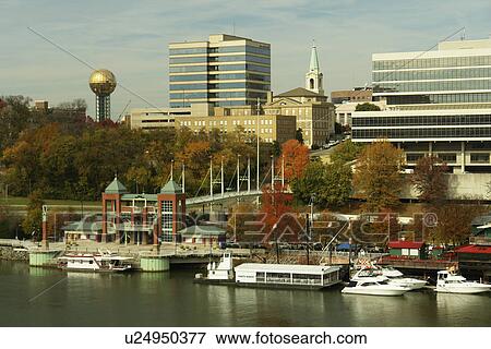 Stock Photo -  Knoxville, TN, Tennessee, Downtown Skyline, Tennessee River, autumn. Fotosearch