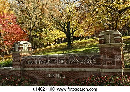Stock Image -  Knoxville, TN, Tennessee, The University of Tennessee, The Hill, entrance, autumn. Fotosearch