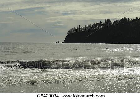 La Push, WA, Washington, Pacific Ocean, Olympic Peninsula, Olympic National Park, Third Beach View Large Photo Image Picture - La Push, WA, Washington, Pacific Ocean, Olympic Peninsula, Olympic National Park, Third Beach. Fotosearch