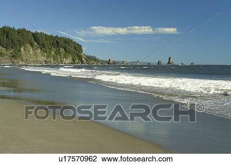 La Push, WA, Washington, Pacific Ocean, Olympic Peninsula, Olympic National Park, Third Beach View Large Photo Image Stock Image - La Push, WA, Washington, Pacific Ocean, Olympic Peninsula, Olympic National Park, Third Beach. Fotosearch