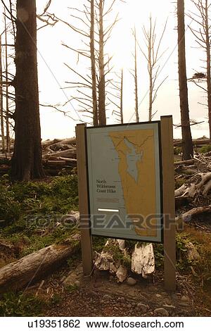 Stock Image -  La Push, WA, Washington, Pacific Ocean, Olympic Peninsula, Olympic National Park, Rialto Beach, North Wilderness Coast Hike. Fotosearch