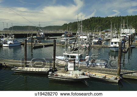 La Push, WA, Washington, Pacific Ocean, Olympic Peninsula, Quileute Indian Reservation View Large Photo Image Stock Image - La Push, WA, Washington, Pacific Ocean, Olympic Peninsula, Quileute Indian Reservation. Fotosearch