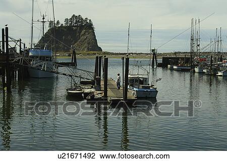 Stock Image -  La Push, WA, Washington, Pacific Ocean, Olympic Peninsula, Quileute Indian Reservation. Fotosearch
