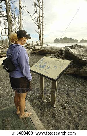 La Push, WA, Washington, Pacific Ocean, Olympic Peninsula, Olympic National Park, Rialto Beach, interpretive sign View Large Photo Image Stock Photo - La Push, WA, Washington, Pacific Ocean, Olympic Peninsula, Olympic National Park, Rialto Beach, interpretive sign. Fotosearch