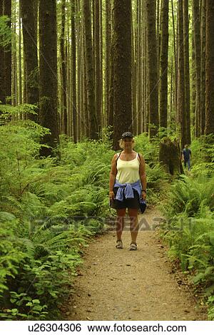La Push, WA, Washington, Pacific Ocean, Olympic Peninsula, Olympic National Park, Third Beach, hiking View Large Photo Image Stock Photograph - La Push, WA, Washington, Pacific Ocean, Olympic Peninsula, Olympic National Park, Third Beach, hiking. Fotosearch